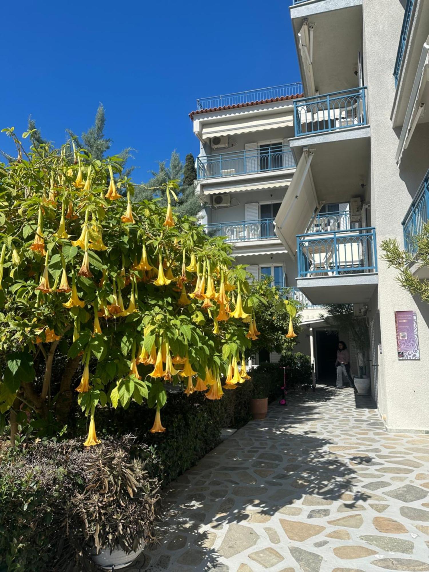 Drossinos Studios Poros Town エクステリア 写真