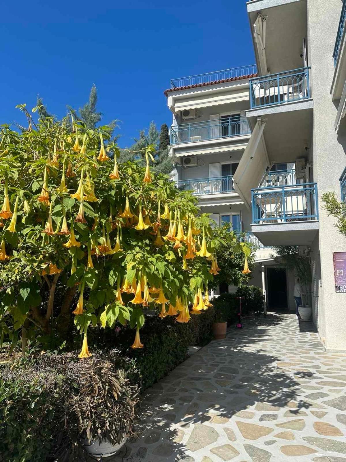 Drossinos Studios Poros Town エクステリア 写真